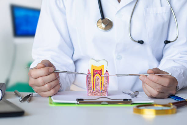 Best After-Hours Dental Care in Newington, VA
